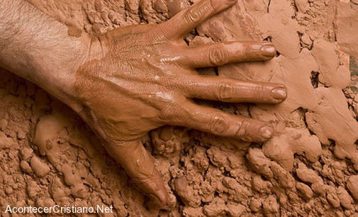 Científicos aseguran que el barro dio origen a la vida humana El barro dio origen a la vida humana
