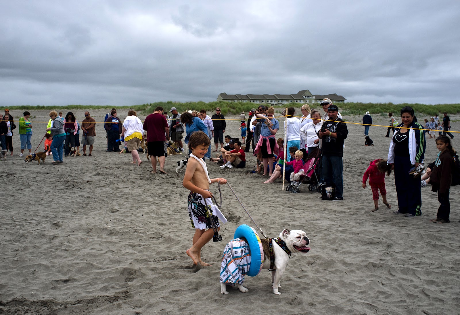 Picture Window photo blog Sand, sun, horses and Finns, Long Beach