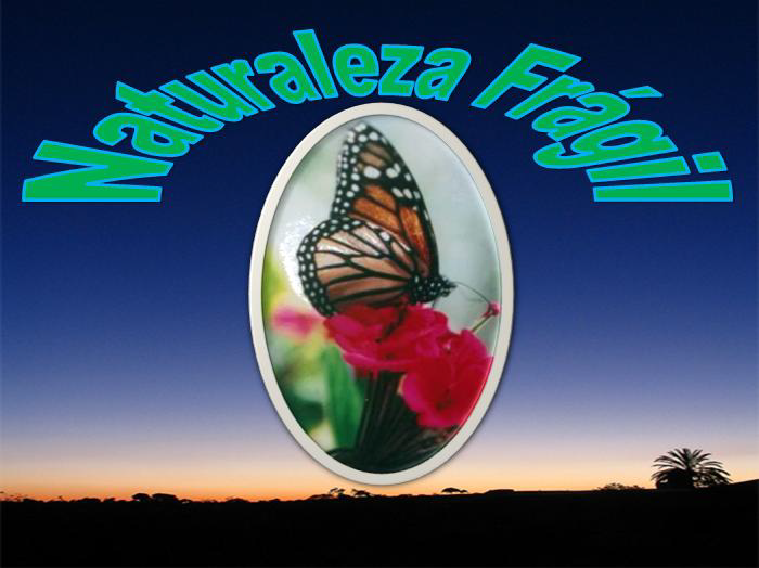 TERCER GRADO: PRÁCTICA 7