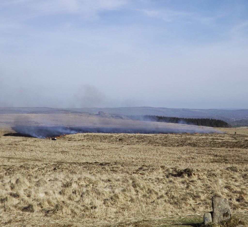 Swailing Dartmoor Ramblings: SWAILING