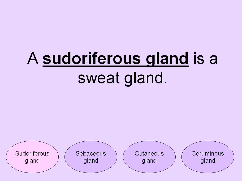 Student Survive 2 Thrive Free Medical Terminology Practice Test Skin