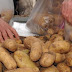 Συλλογος Πολυτεκνων Ηγουμενιτσας: Δωρεάν διανομή πατάτας 