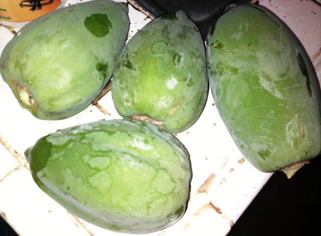 Small Green Papaya Fruit