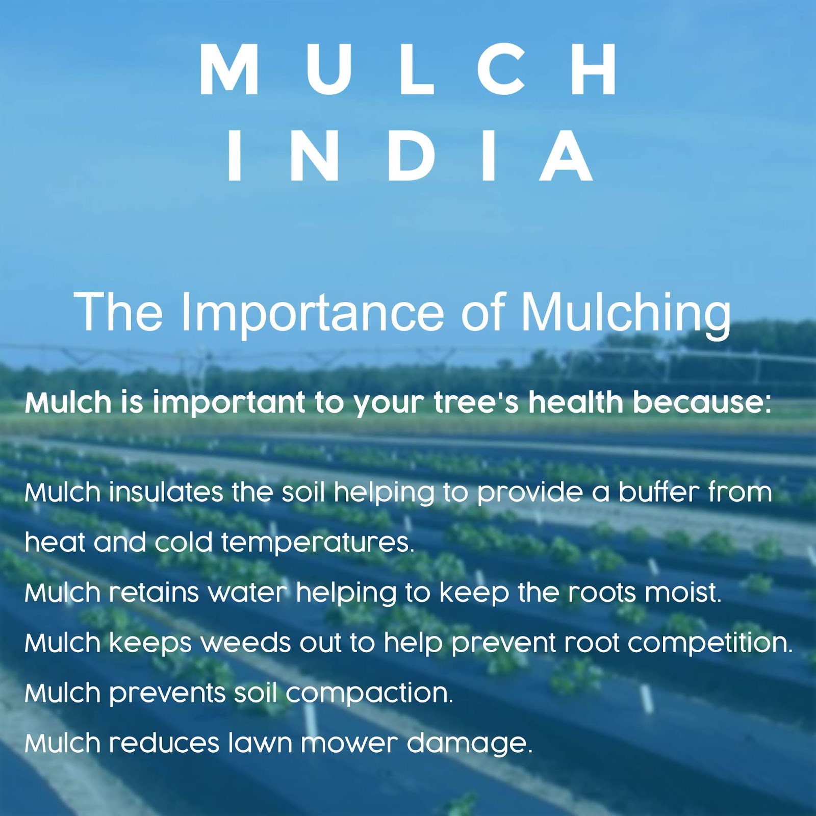 MulchIndia The Importance of Mulching MULCH INDIA