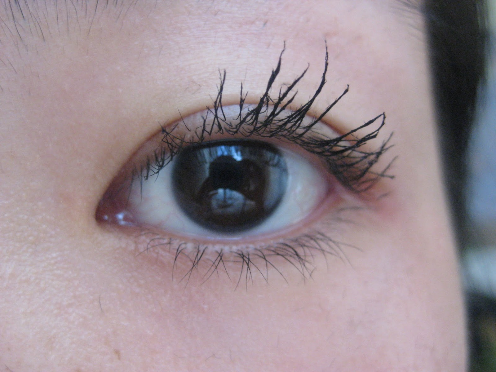 Cherry Blooms Fiber Brow and Brush on Fiber Mascara Review