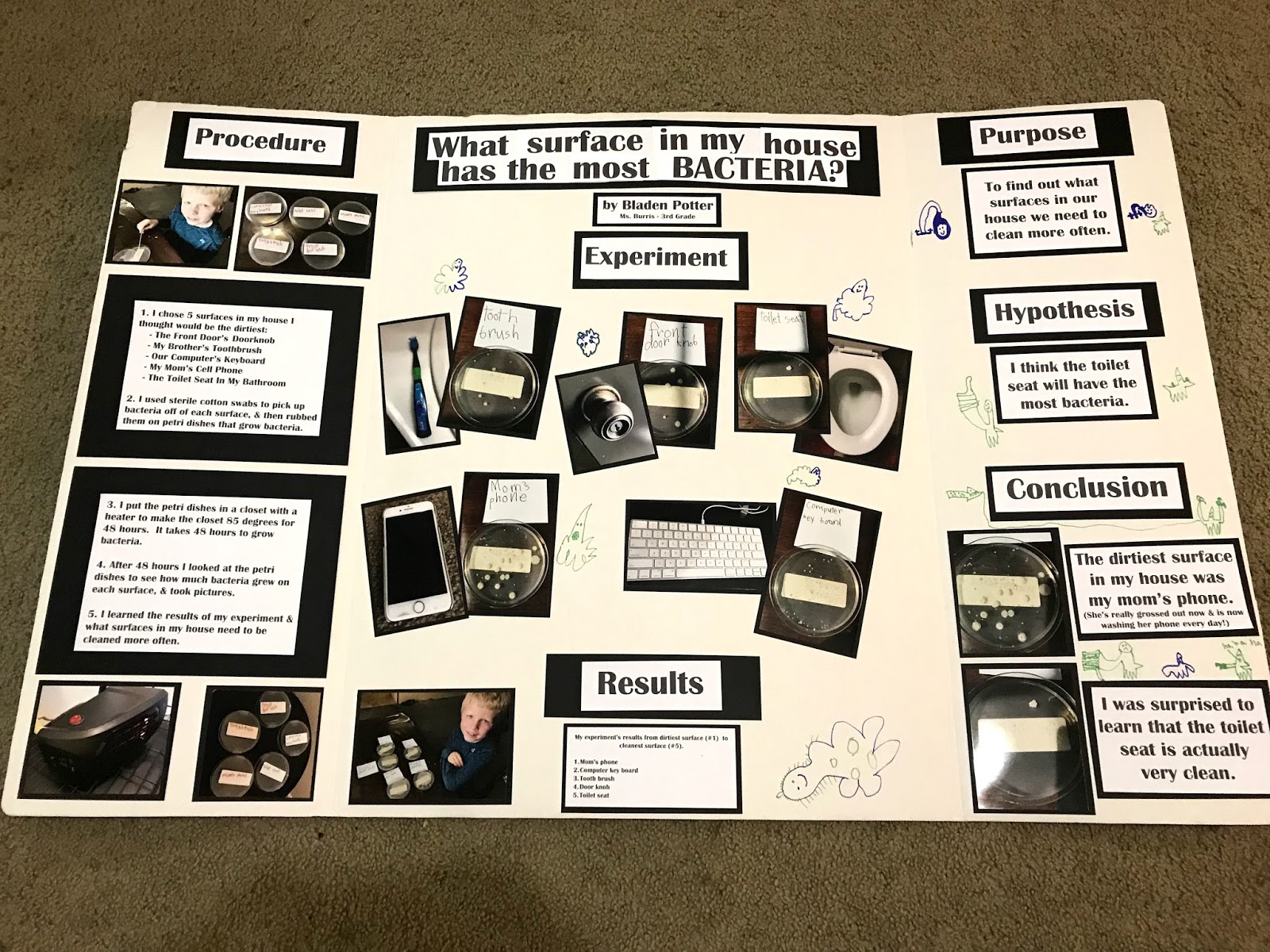 Welcome to the Krazy Kingdom: Bladen's Science Fair Project - 