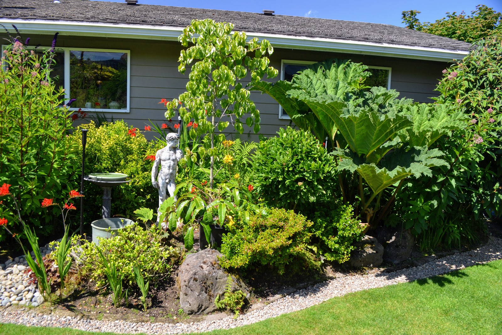 Jarrah Jungle Backyard Makeover With Some Patio Pimping