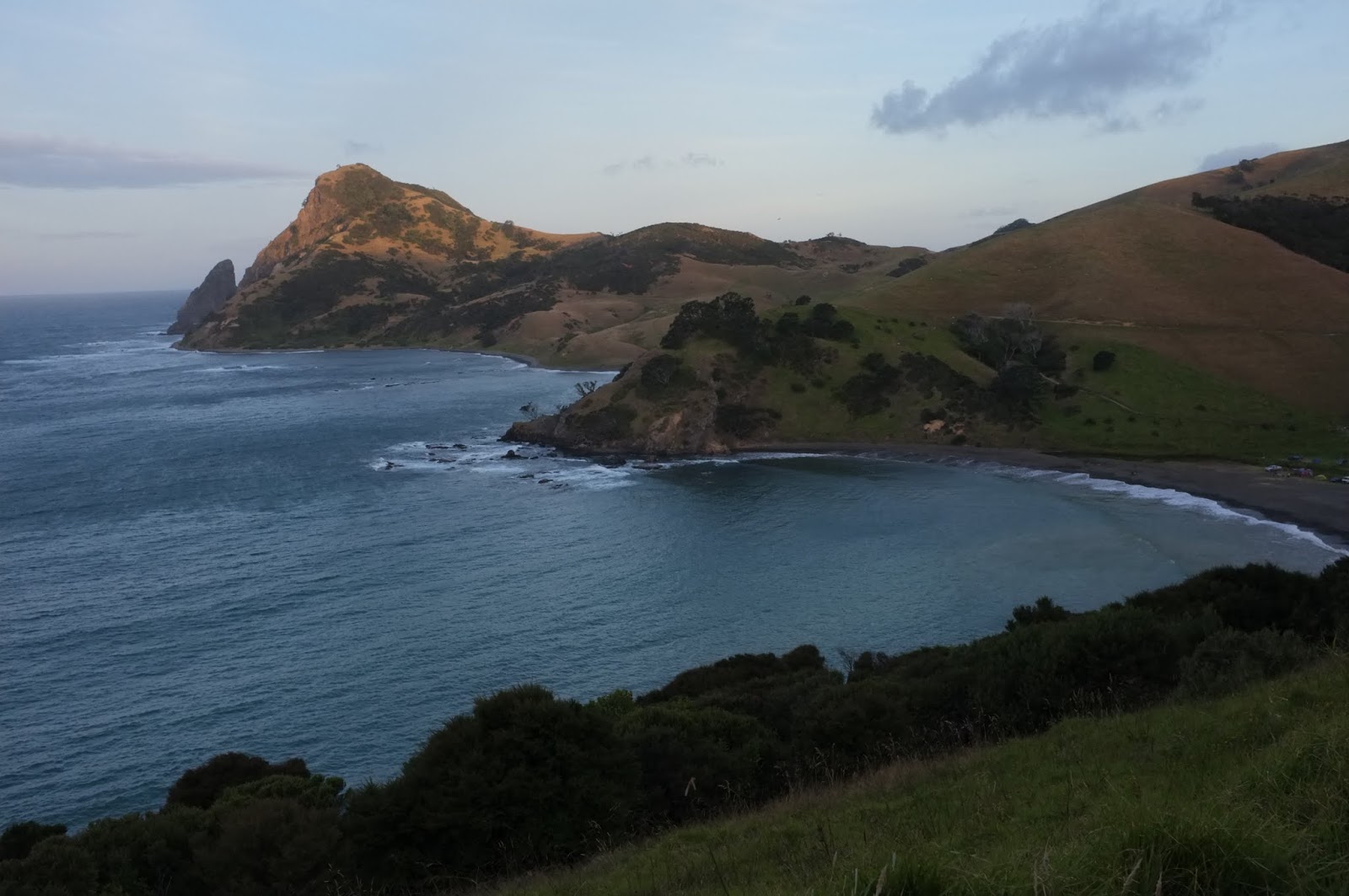 Around New Zealand Coromandel Kauaeranga Valley to Port Jackson