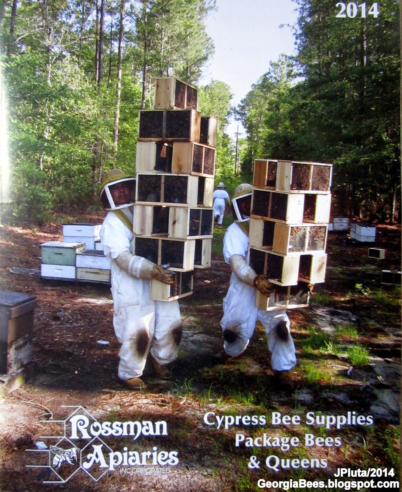 BEEKEEPING Beekeeper Honey Bees Pollen Wax Candle Propolis Queen Nuc