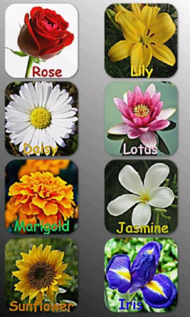 Pictures Of Flowers Names Pictures Of Flowers Names
