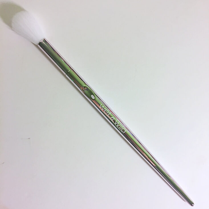 wet n wild Pro Brush Line tapered highlighting brush wet n wild Pro Brush Line tapered highlighting brush