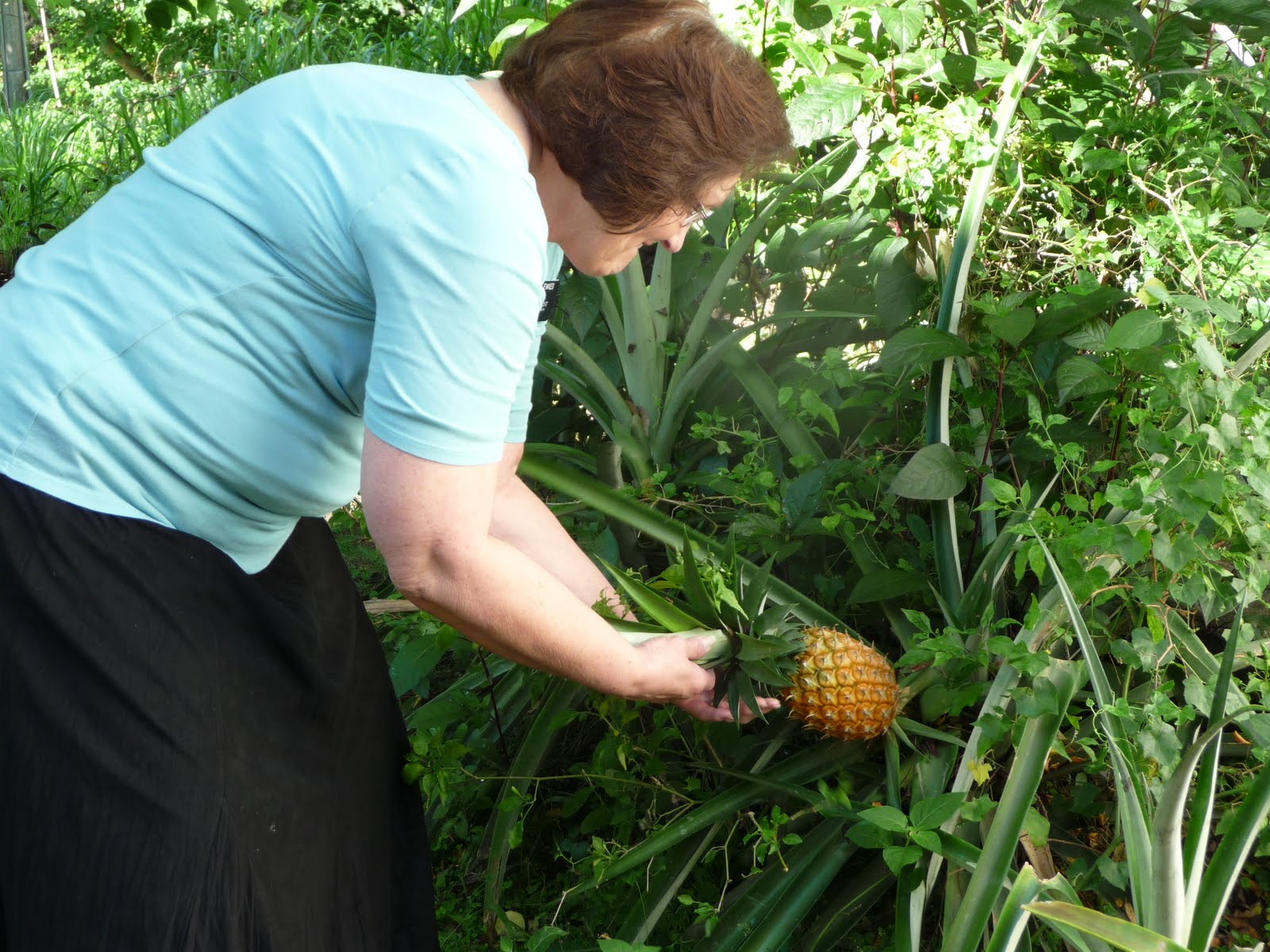 Connie's Chronicles Fresh Pineapple