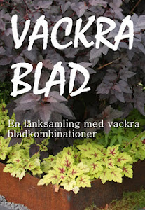 Länksamling - Klicka på bilden!