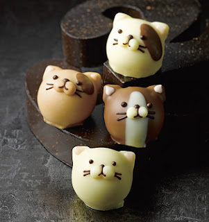 Cat chocolates by Goncharoff