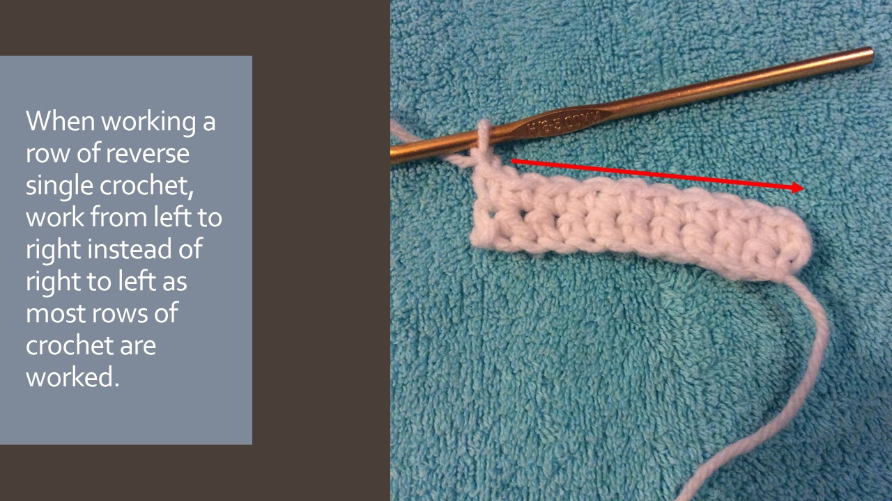 Hook and Yarns by EveryDayWomanCrochet The Reverse Single Crochet (rsc)