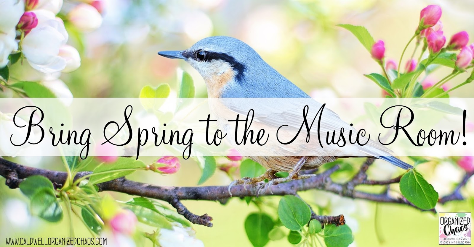 Bring Spring to the Music Room! Organized Chaos