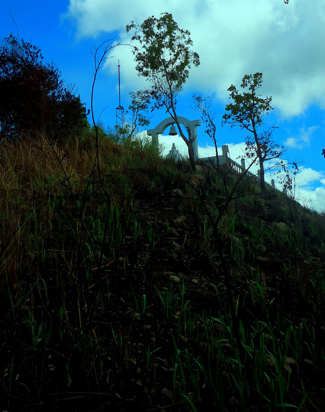 DSC09625.JPG