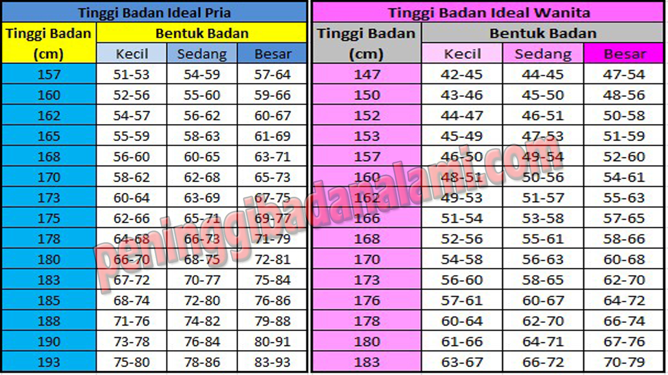 Cara Menghitung Berat Badan Ideal Di Excel IMAGESEE