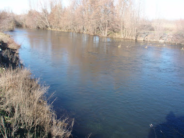 Rio Tuerto, a su paso por Santa Colomba de la Vega