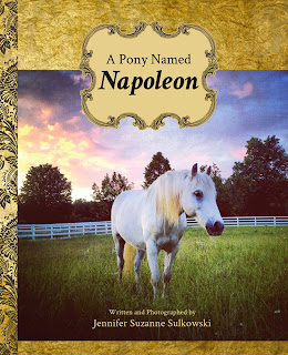 A Pony Named Napoleon, by Jennifer Sulkowski