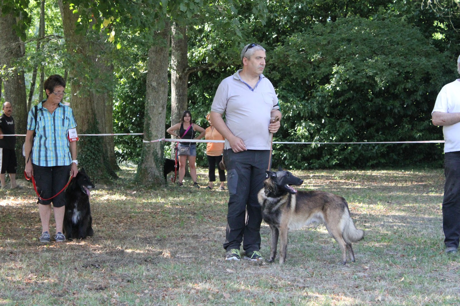 Comment Faire Un Chien En Papier