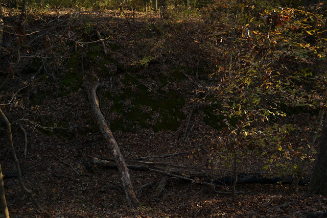 Натчез Трейс Парквей(Natchez Trace Parkway)