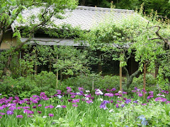 ���c���̃n�i�V���E�u