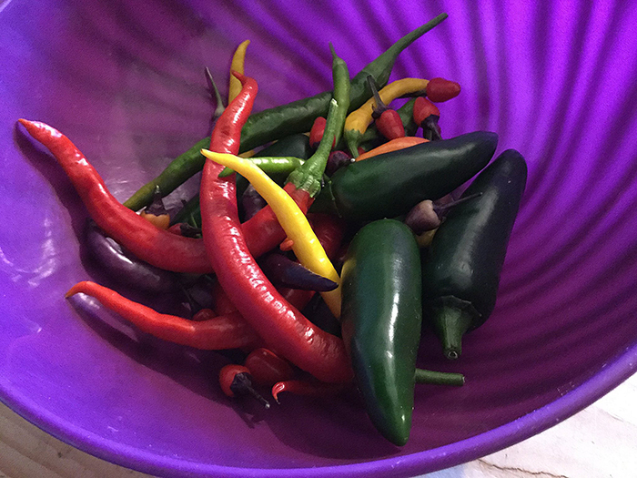 Bbc Food Chilli Recipe Bbc Food Chilli Recipe