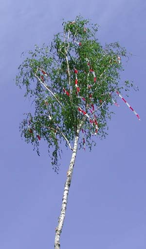 Postsfotos Lichtbildwerke Mai 2011