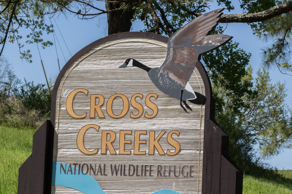 T & L Adventures Cross Creeks National Wildlife Refuge, TN 42818