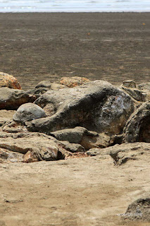 batu malin kundang pantai air manis padang