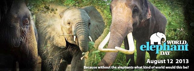 World Elephant Day 2013 Save Elephants from Extinction World Elephant Day 2013 Save Elephants from Extinction