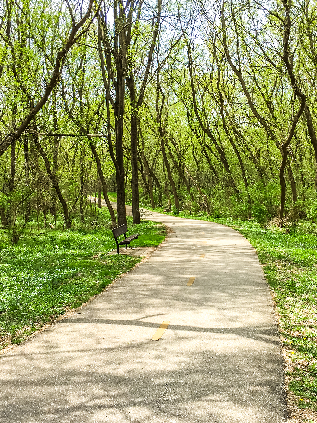 Biking Along the Ice Age Trail Janesville Segment