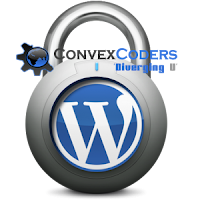 WPScan v.1.1 is released, a WordPress Security vulnerability scanner ...