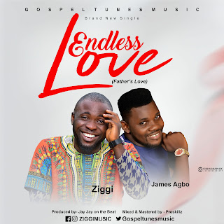 DOWNLOAD -Endless Love -Ziggi Featuring James Agbo 
