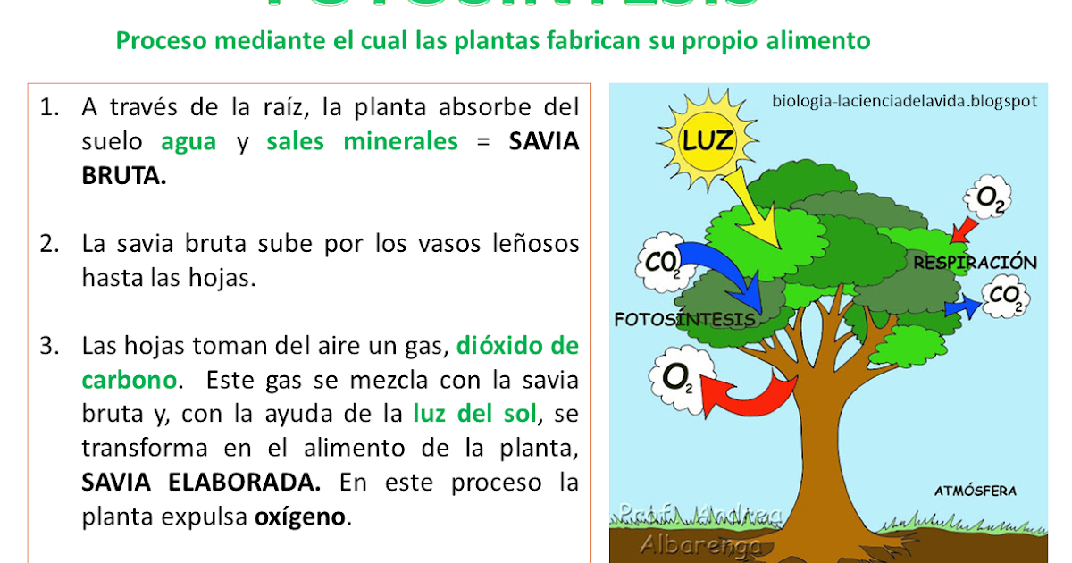 Plantas Artificiales Para Decorar Paredes Aliexpres Plantas Artificiales Para Decorar Paredes Aliexpres