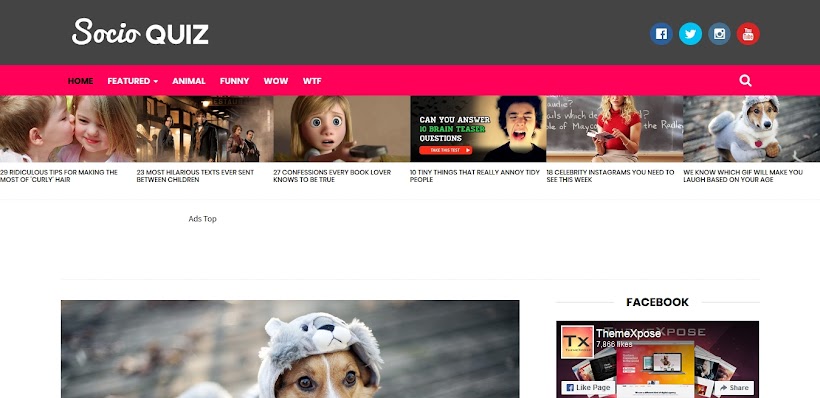 Socio Free Blogger Template