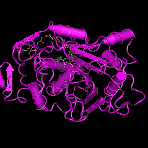3D Strcuture of Lipase　B (Novozym 435)