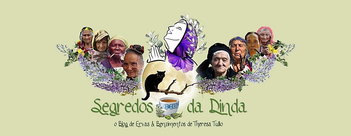 SEGREDOS DA DINDA