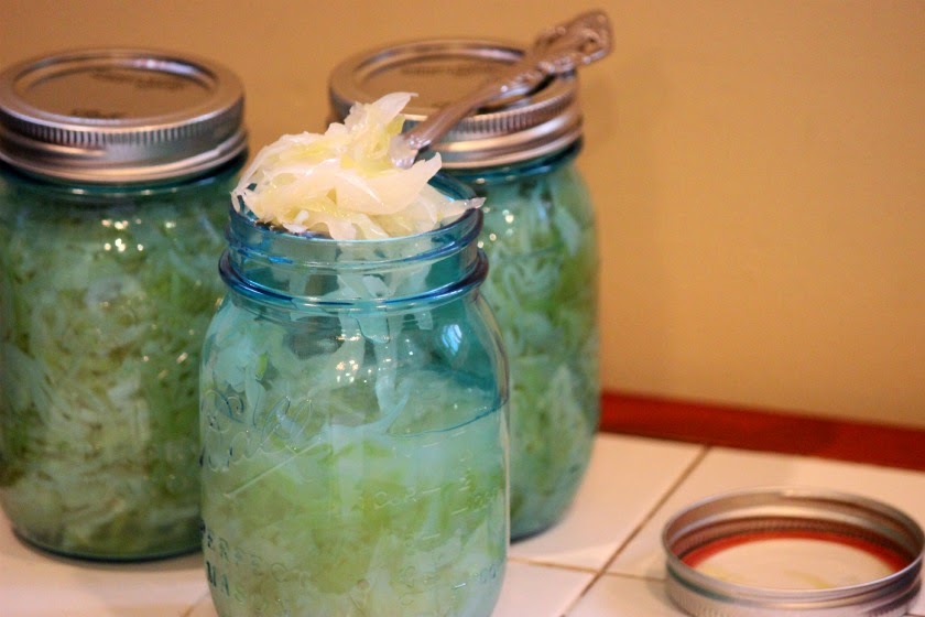 Comfy Cuisine Home Recipes from Family & Friends Easy Homemade Sauerkraut