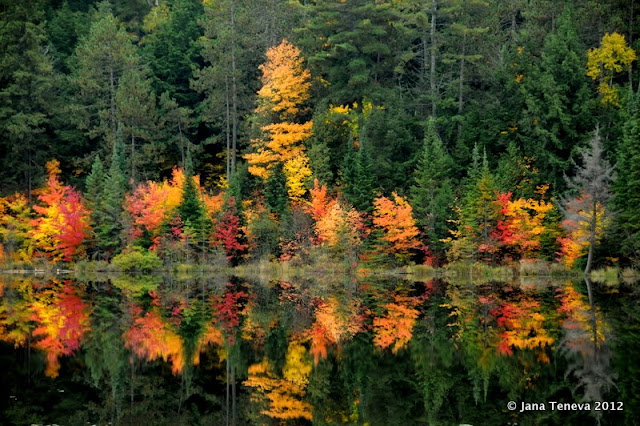 Canadian autumn colours in Ontario