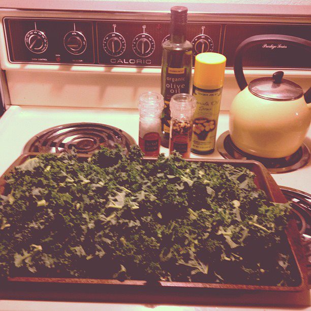 Balancing the Bucket Dinosaur (aka Kale) Chips