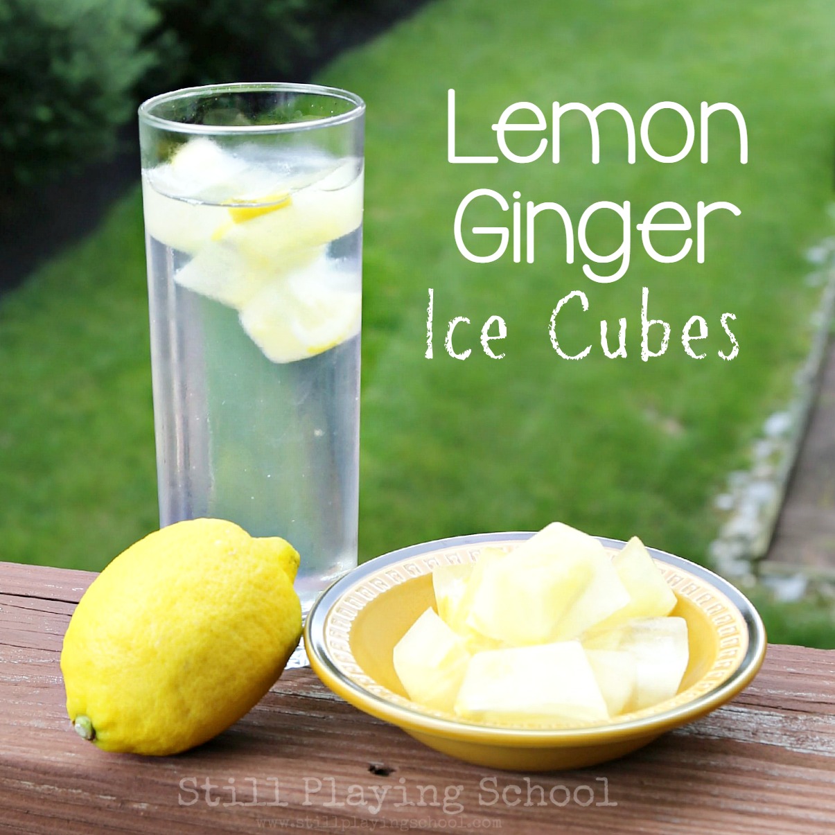Lemon Ginger Ice Cubes for Refreshing Infused Water Still Playing School