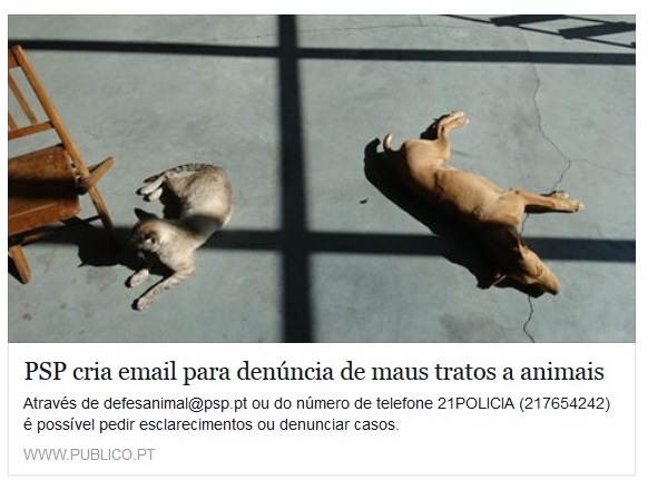 http://www.publico.pt/sociedade/noticia/psp-cria-email-para-denuncia-de-maus-tratos-a-animais-1702923