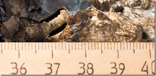 La Piedra de Lanzhou: ¿Prueba de una avanzada civilización prehistórica ... o extraterrestre? Tornillo-en-Rusia