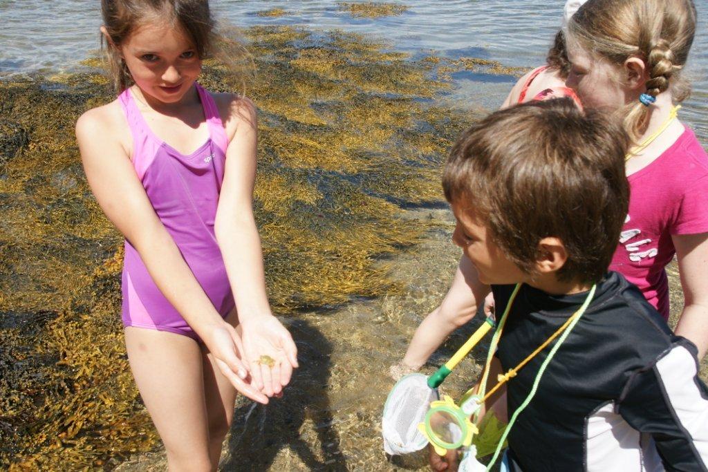 The Indian Point Young Naturalist Club: The Young Naturalists in 2012