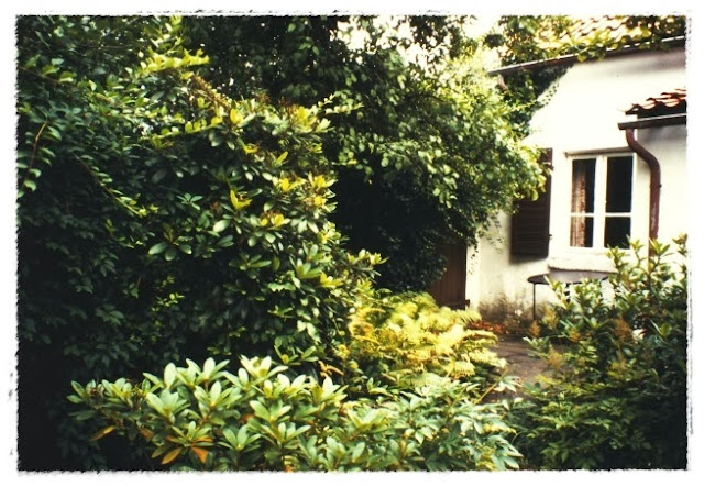 © Mein Waldgarten Das Haus meiner Kindheit