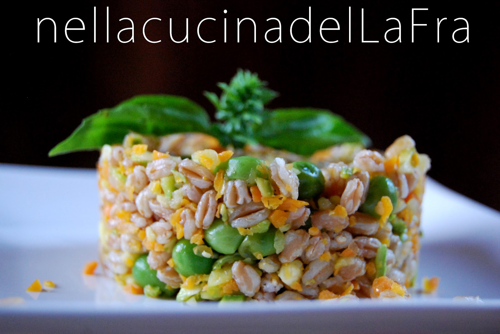 nellacucinadelLaFra Veloci passaggi in cucina 2 Insalata di farro