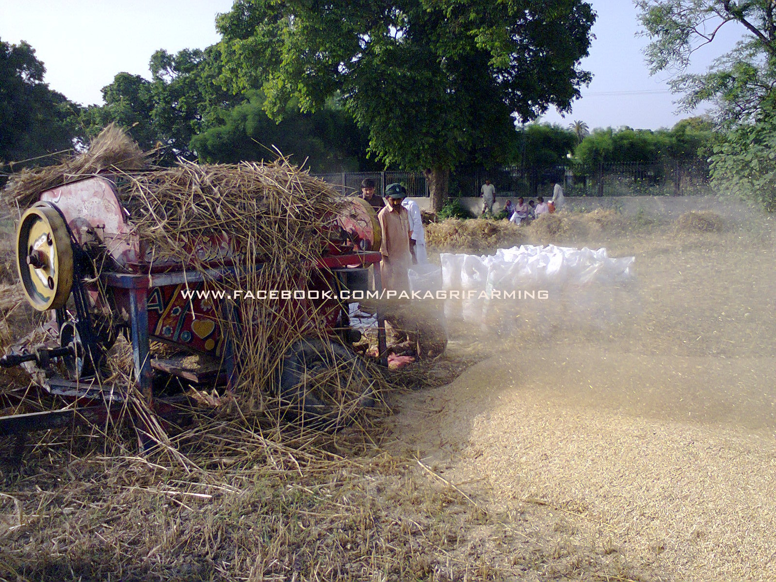 Why we need Agriculture in Pakistan?