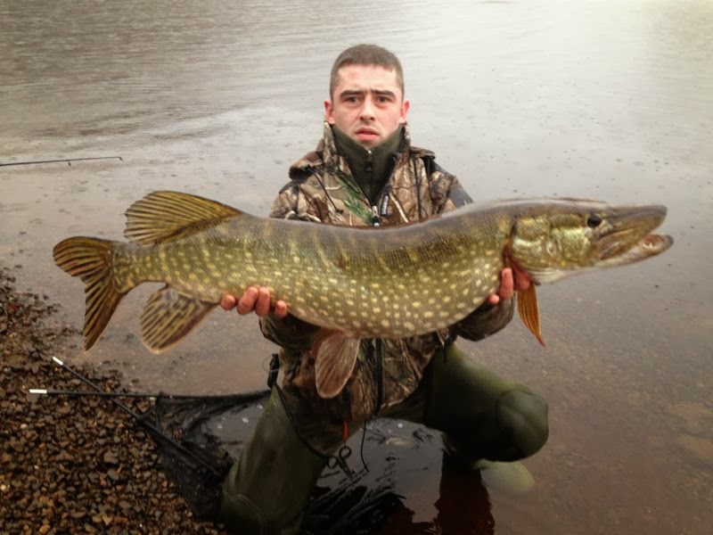 March Fish of the Month Entry Scottish Loch Caught Pike